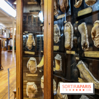 Musée des Moulages à Paris, nos photos - IMG 0816