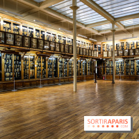 Musée des Moulages à Paris, nos photos - IMG 0841