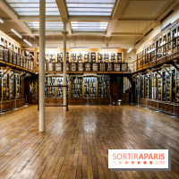 Musée des Moulages à Paris, nos photos - IMG 0843