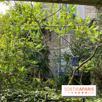 Le Petit Cormier, Montigny-sur-Loing - image00012