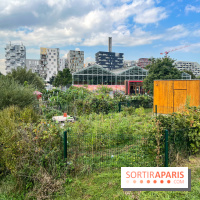Le Grand Parc des Docks, à Saint-Ouen