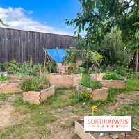 Le Grand Parc des Docks, à Saint-Ouen - image00226