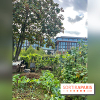 Le Grand Parc des Docks, à Saint-Ouen - image00220