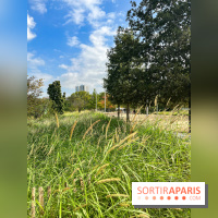 Le Grand Parc des Docks, à Saint-Ouen