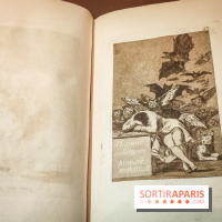 Trésors en noir et blanc, l'exposition des grands maîtres de l'estampe au Petit Palais - nos photos