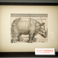 Trésors en noir et blanc, l'exposition des grands maîtres de l'estampe au Petit Palais - nos photos