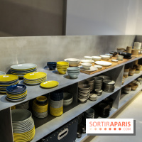 iRASSHAi à Paris, nos photos - IMG 0887