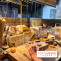 Maison Poursin - image00005