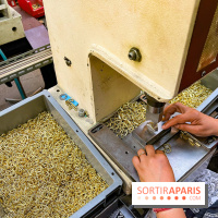 Maison Poursin - image00017