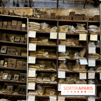 Maison Poursin - image00023