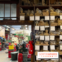 Maison Poursin - image00025