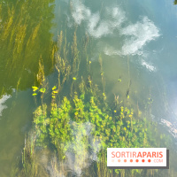 Motigny-sur-Loing - image00232