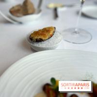 L'Aube par Thibault Nizard - Moule gratinée