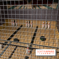 Fort Boyard Aventures à Vélizy 2 le bowling