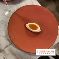 Tracé, Clément Vergeat - Glace reine des prés insert pollen