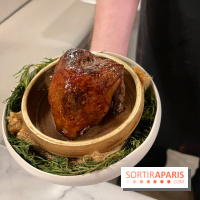 Tracé, Clément Vergeat - Pigeon entier