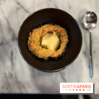 Tracé, Clément Vergeat - Nid d'oeufs de poissons