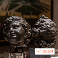 La Nouvelle Galerie de l'Histoire du Château de Versailles en photos