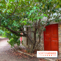 Fondation La Ruche - Seydoux - Cité d'artistes  - image00056