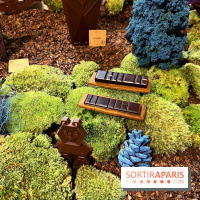 Alain Ducasse - Chocolats de Noël 2023 - 1C8D269F A4D5 4E19 A548 B3633784C155