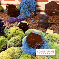 Alain Ducasse - Chocolats de Noël 2023 - 973A5822 D4BE 4CC9 84F6 572CA753A144