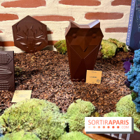 Alain Ducasse - Chocolats de Noël 2023 - E6E01285 D2C7 4778 A7FE B172F039506F