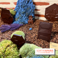 Alain Ducasse - Chocolats de Noël 2023 - F294480A 28D4 4055 AE42 265FE00C39D4