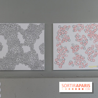 Exposition Gérard Zlotykamien alias Zloty à Paris -  A7C1518