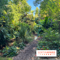 Parc de la butte du chapeau rouge - image00795