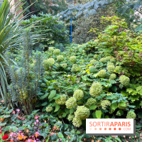 Parc de la butte du chapeau rouge - image00787