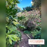 Parc de la butte du chapeau rouge - image00789