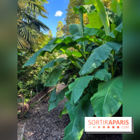 Parc de la butte du chapeau rouge - image00790