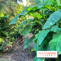 Parc de la butte du chapeau rouge - image00791