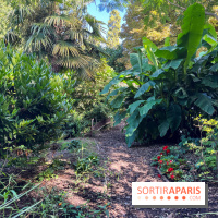 Parc de la butte du chapeau rouge - image00792