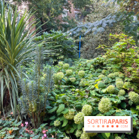 Parc de la butte du chapeau rouge - image00781