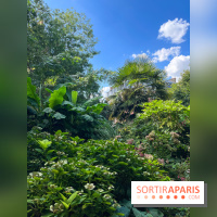 Parc de la butte du chapeau rouge - image00782