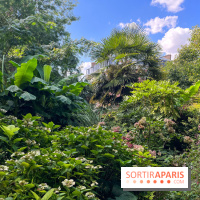 Parc de la butte du chapeau rouge - image00783