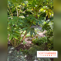 Parc de la butte du chapeau rouge - image00784