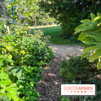 Parc de la butte du chapeau rouge - image00786