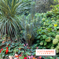 Parc de la butte du chapeau rouge - image00778