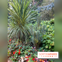 Parc de la butte du chapeau rouge - image00779