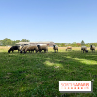 La Ferme des 4 Etoiles à Auffargis - image00047