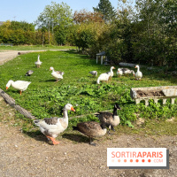La Ferme des 4 Etoiles à Auffargis - image00032