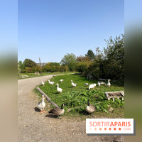 La Ferme des 4 Etoiles à Auffargis - image00033