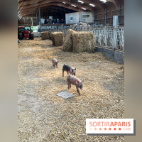 La Ferme des 4 Etoiles à Auffargis - image00017