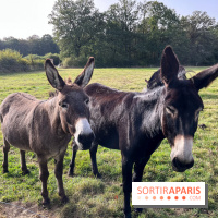 La Ferme des 4 Etoiles à Auffargis - image00002