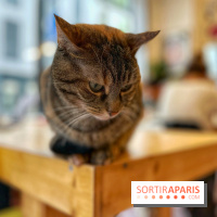 La Régulière - IMG 5295