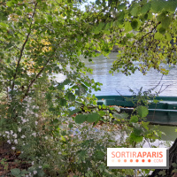 Les bords de Marne - image00014