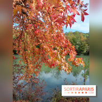 Les bords de Marne - image00004