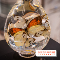 Exposition des Larmes de Joie de Benoit Dutour au Printemps Haussmann  -  A7C1367